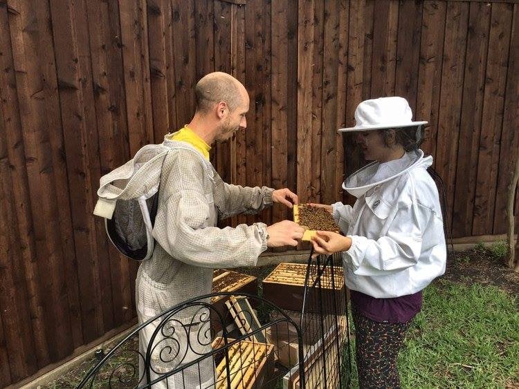 Private Beekeeping Experience for Adults & Teens