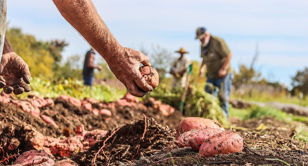Private tour of inspiring urban farm feeding Far East Dallas community